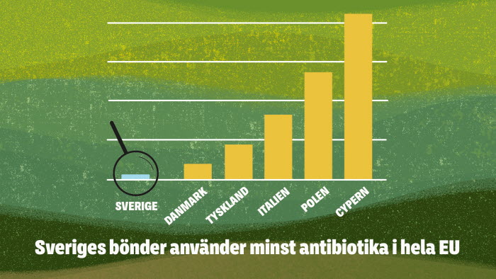 Infografik, antibiotikaanvändning 2020, EU