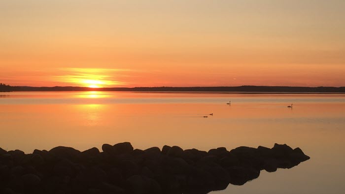 Strand stenpir strandskydd