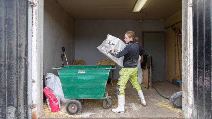 Vad gör LRF Kött för grisnäringen? - LRF