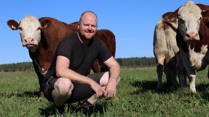Simon Asker, Roknäs, Årets nötköttsföretagare i Norrbotten 2022