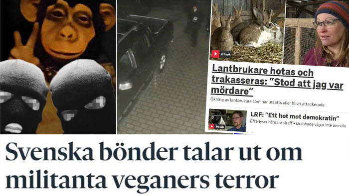 hat och hot mot svenska bönder. GP har djuplodande artikel, och SVT rapporterar