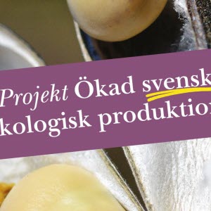 Projekt ökad svensk ekologisk produktion