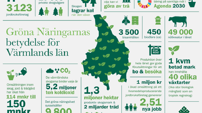 Infografik gronanaringarna Värmland Camp650.png