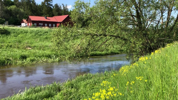 Å och gård (Sävjaån, Uppsala)