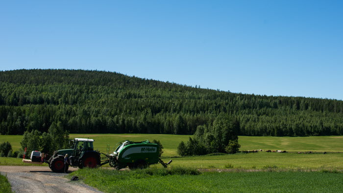 Traktor odlingslandskap