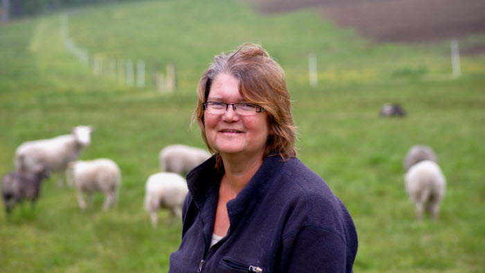 Porträtt Sybil Sundling, fårägare