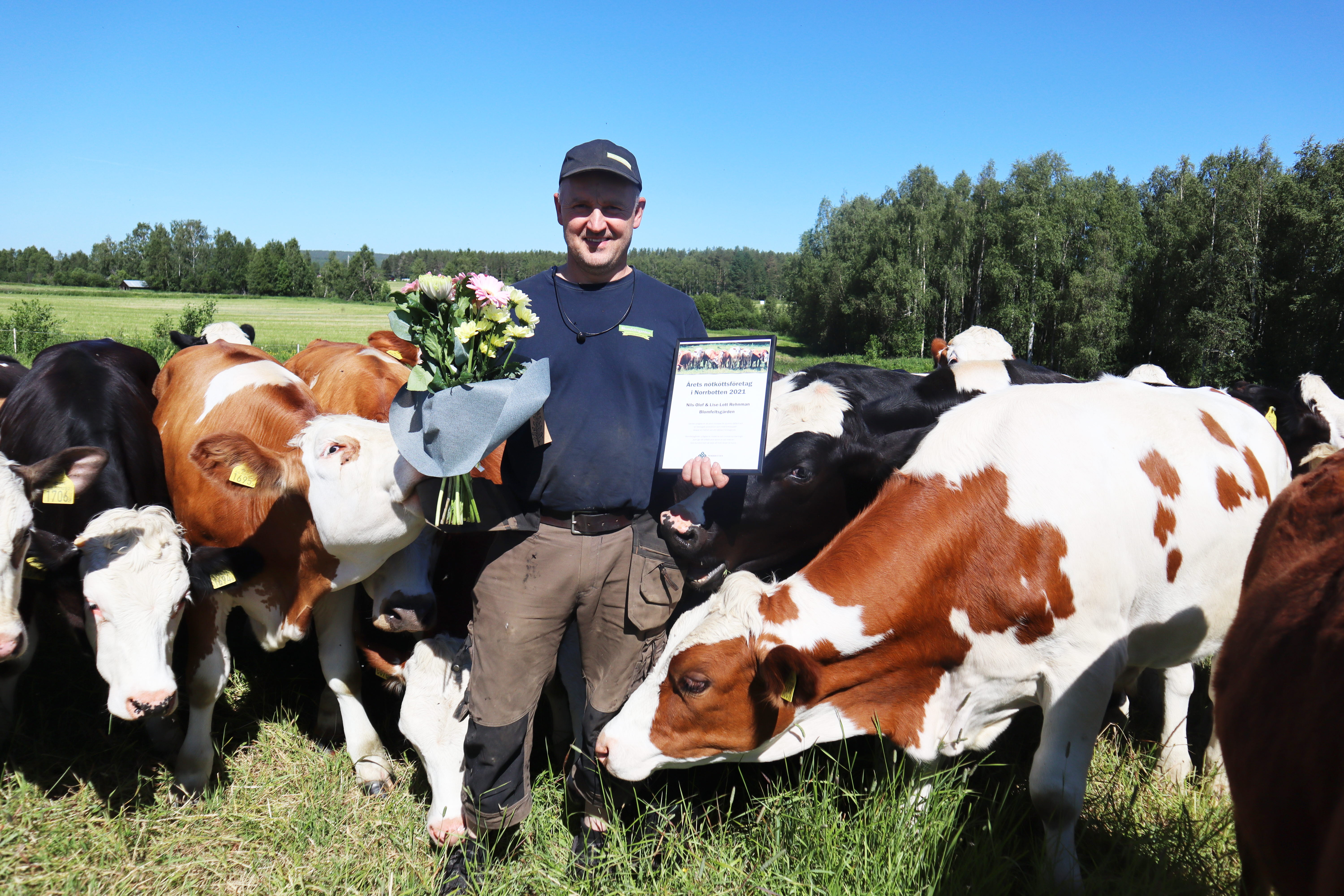 Årets nötköttsföretag 2021 Norrbotten Nils-Olof Rehnman Blomfeldstgården