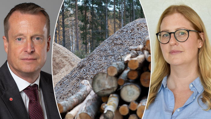 Energiminster Anders Ygeman och LRFs expert Jenny Näslund är överens om att SVerige måste öka biodrivssatsningen